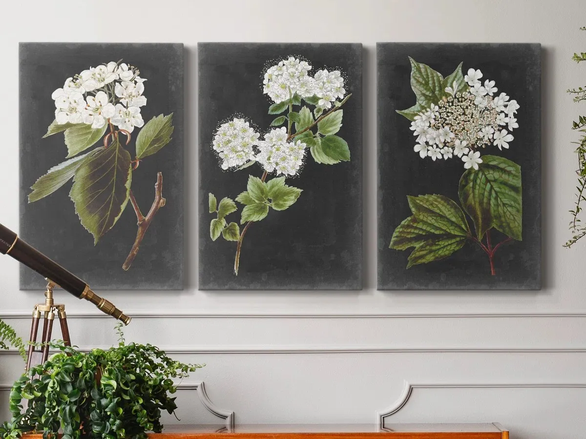 Dramatic White Flowers, Set of 3