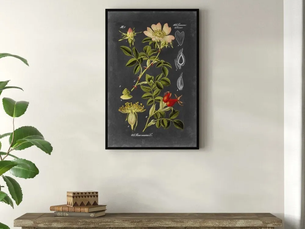 Midnight Botanical I